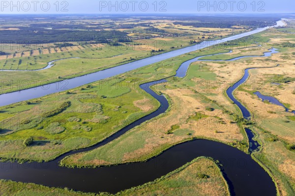 Aerial view over the Oder river in the German-Polish nature reserve Lower Oder Valley International Park, Uckermark district, Brandenburg, Germany