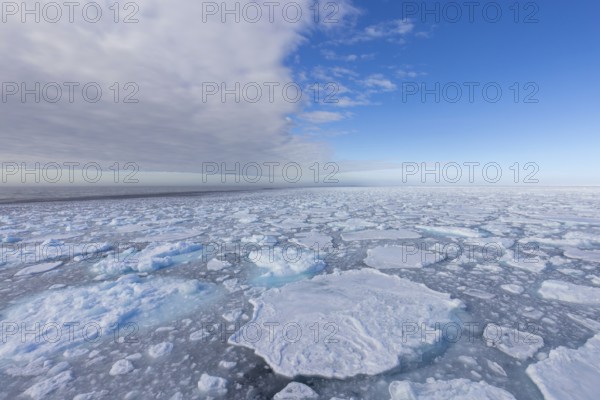Drift ice / brash ice, floating field of sea ice composed of several ice floes in the Arctic Ocean at Svalbard / Spitsbergen, Norway