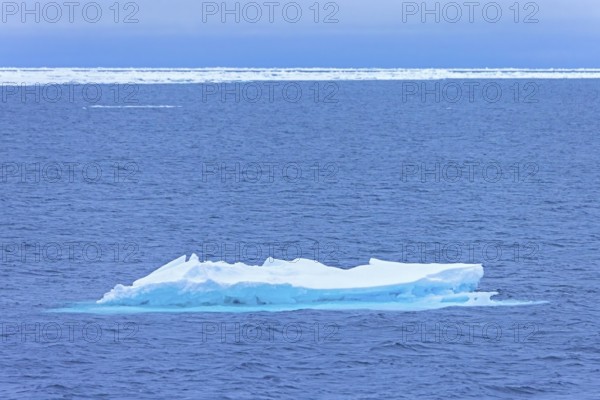 Ice floe drifting in the Arctic Ocean at Svalbard / Spitsbergen, Norway
