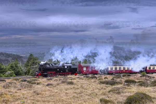 1950s steam train 99236 Neubaulokomotive / Neubaulok riding the Brocken Narrow Gauge railway line in the Harz National park, Saxony-Anhalt, Germany