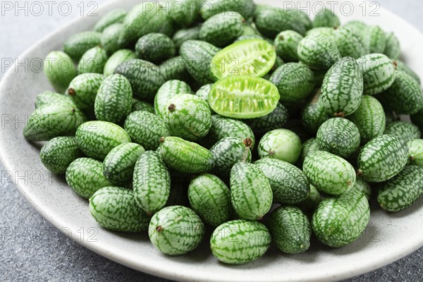 African cucumber, Mexican cucumber, mouse melon, Melothria