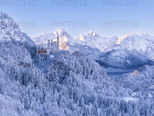 Picturesque picture of Neuschwanstein Castle nestled in a magnificent winter landscape with mountains and forests, Schwangau near FÃ¼ssen, OstallgÃ¤u, AllgÃ¤u, Bavaria, Germany