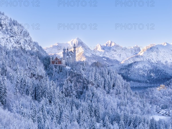 Impressive winter image of Neuschwanstein Castle surrounded by snow-covered mountains and trees. Sense of cold and grandeur, Schwangau near FÃ¼ssen, OstallgÃ¤u, AllgÃ¤u, Bavaria, Germany