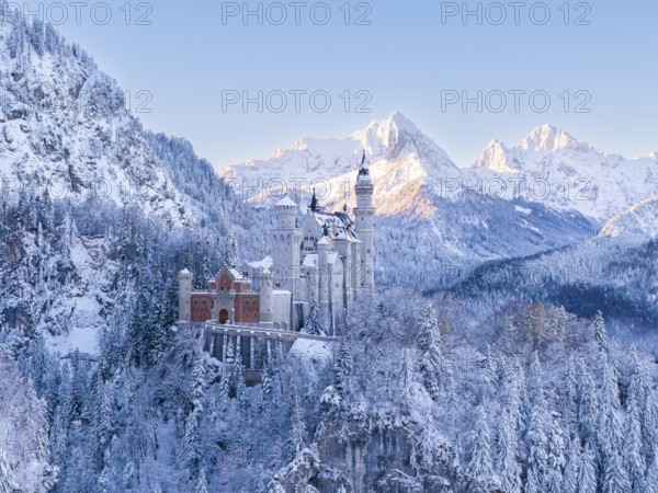 Neuschwanstein Castle in winter, surrounded by snow-covered trees and picturesque mountains. Atmospheric and dreamy, Schwangau near FÃ¼ssen, OstallgÃ¤u, AllgÃ¤u, Bavaria, Germany