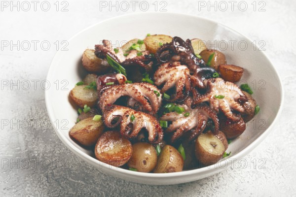Baby grilled octopus with golden baked potatoes and fresh herbs, Maltese cuisine, homemade, no people