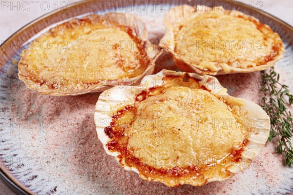 Scallop, baked in shells, with cheese and spices, on a plate, homemade