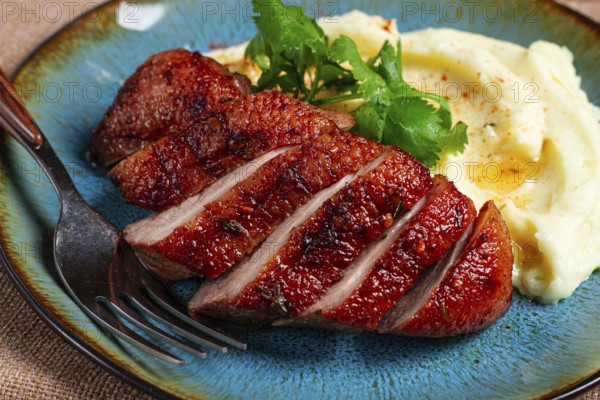 Roast duck breast, sliced with mashed potatoes, on a plate, close-up, no people