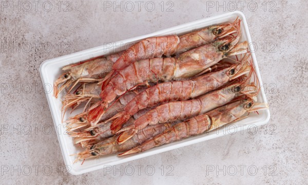 Fresh frozen Argentine shrimp, laid out in a container, top view, no people