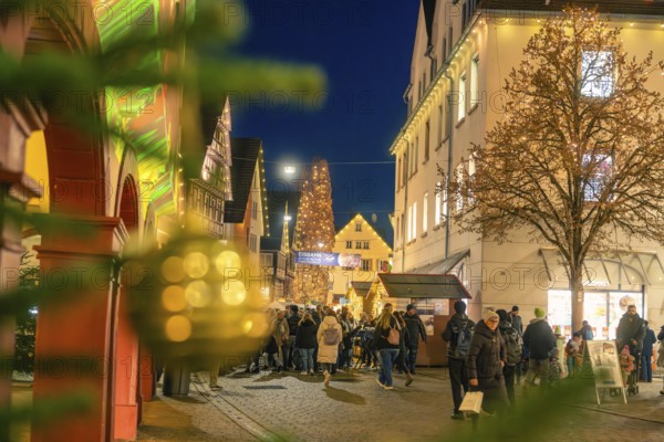 View of an illuminated Christmas tree through blurred pine branches at a Christmas market, Christmas market 2025, Nagold, Black Forest, Calw district, Germany