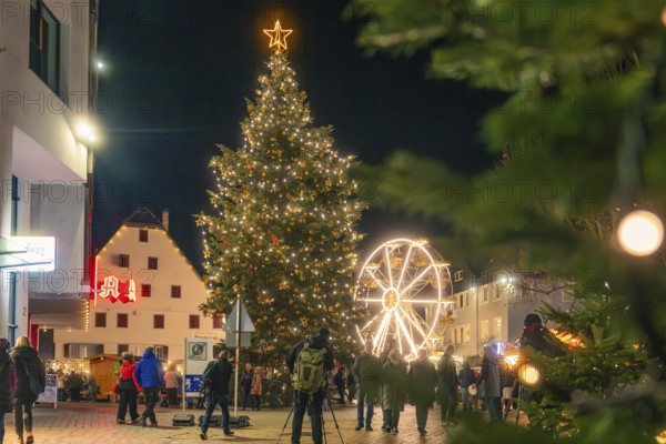 A large festively illuminated Christmas tree and a Ferris wheel light up the night, Christmas market 2025, Nagold, Black Forest, Calw district, Germany