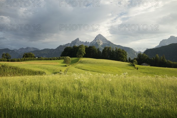 Watzmann at sunset, with meadow and pasture in summer, sunbeams and clouds. Berchtesgaden, Bayern, Germany