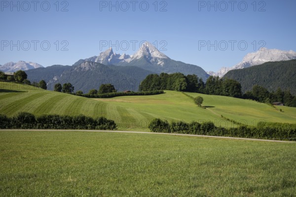 Idyll on Watzmann with summery sky and meadow. Berchtesgaden, Germany