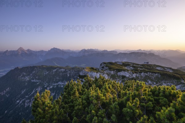 On the Berchtesgaden High Throne in summer at sunset, mountain pine and view of the StÃ¶rhaus on Untersberg. Berchtesgadener Land