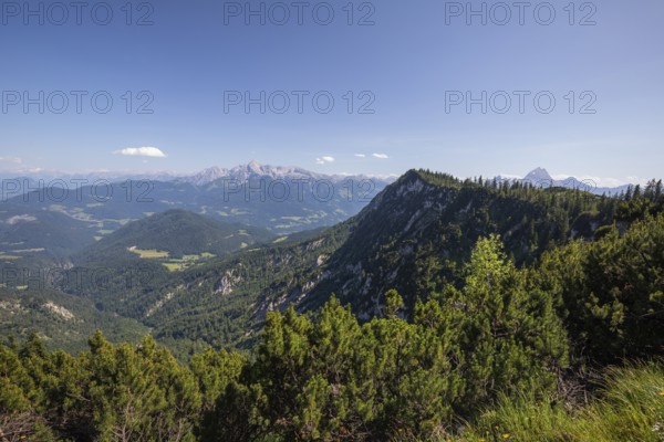 StÃ¶rhausweg in summer with mountain pine in the foreground, hiking trail to the Berchtesgaden High Throne, with views of the Berchtesgadener Land and Watzmann. germany