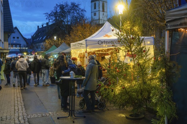 Visitors explore an atmospheric Christmas market with colorful lights, Aidlingen Christmas Market, Böblingen District, Germany