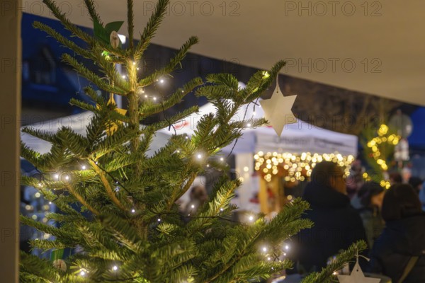 Fairy lights on a Christmas tree with a blurred Christmas market in the background, Aidlingen Christmas market, Böblingen district, Germany