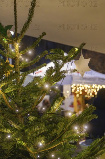 Close-up of an illuminated Christmas tree with a star in front of it, Aidlingen Christmas market, Böblingen district, Germany