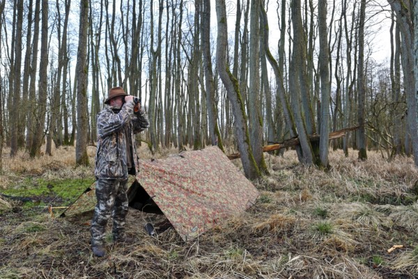 Camp of a nature photographer, nature photographer in front of his camouflage camp in the Erlenbruch Forest, Peenetal nature park Park, Mecklenburg-Western Pomerania, Germany