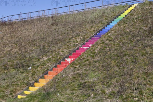 Rainbow staircase near Jarmen an der Peene, stylized rainbow flag, symbol of the LGBTQ movement, Peenetal nature park Park, Mecklenburg-Western Pomerania, Germany