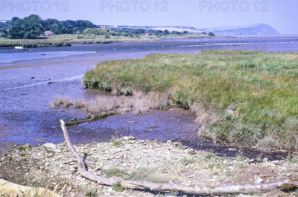 Estuary river mouth of River Nevern at low tide, Parrog, Newport, Pembrokeshire, Wales, UK 5 July 1971 view to south shore