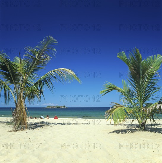 Palm beach near Kande on Lake Malawi, Malawi, Africa, July 2000, vintage, retro, old, historic