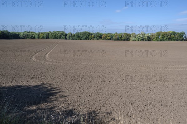 Large, harrowed fields, Othenstorf, Mecklenburg-Western Pomerania, Germany