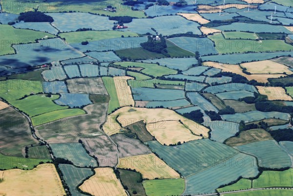 Knick, northern Germany, Schleswig-Holstein, walllike tree and shrub hedges, coupling, living fences, wall, scrub, field border, protection, landscape protection, hazelnut bushes, hornbeams, ash trees, beeches, oaks. thorns, honeysuckle, sea buckthorn, blackberries, blackthorn, agriculture, summer, color of, field, aerial view