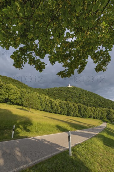 Swabian Jura in summer. The way to Teck Castle under the linden tree. Baden-WÃ¼rttemberg, Germany