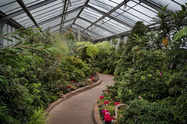 Path through azaleas, greenhouse, Wilhelma, Zoological-Botanical Garden, Stuttgart, Baden-WÃ¼rttemberg, Germany