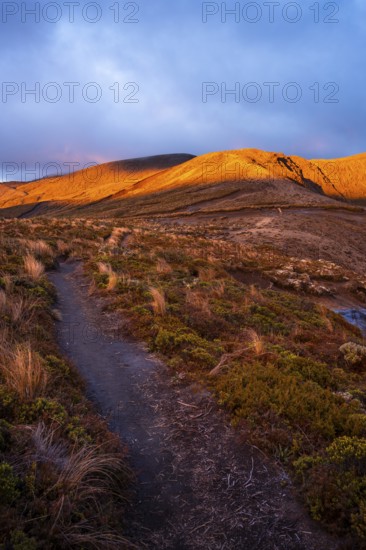 Volcanic landscape, Tama Lake Walk (Tama Lakes Track), evening light, sunset. Tongariro National Park, North Island, New Zealand