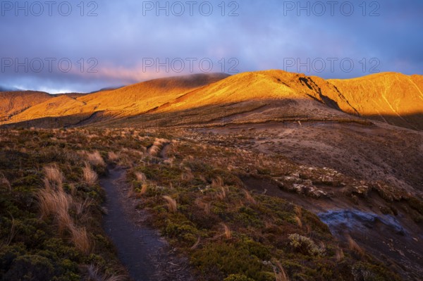 Volcanic landscape, Tama Lake Walk (Tama Lakes Track), evening light, sunset. Tongariro National Park, North Island, New Zealand