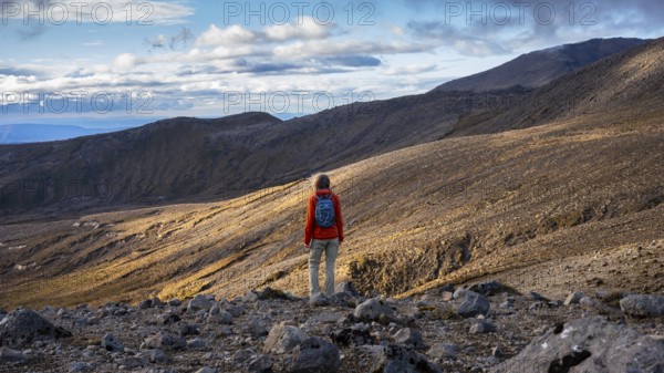 A hiker on the Tama Lake Walk (Tama Lakes Track), evening light, golden hour, Tongariro National Park, North Island, New Zealand
