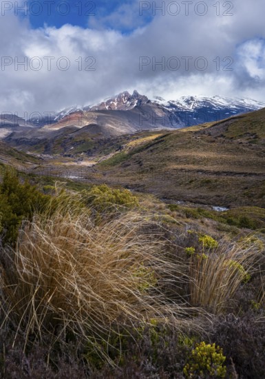 Volcanic landscape, Tama Lake Walk (Tama Lakes Track), Mt Ruapehu in the background. Tongariro National Park, North Island, New Zealand