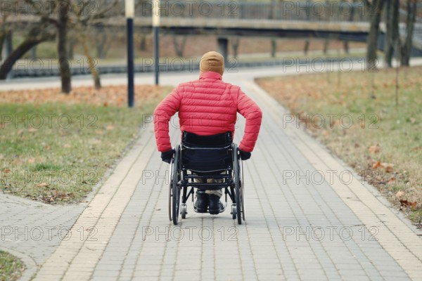 Rear view of a person in wheelchair navigating a paved path in a park during autumn season