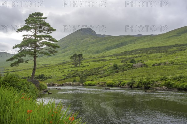 River Erreef, Erreef, County Mayo, Ireland