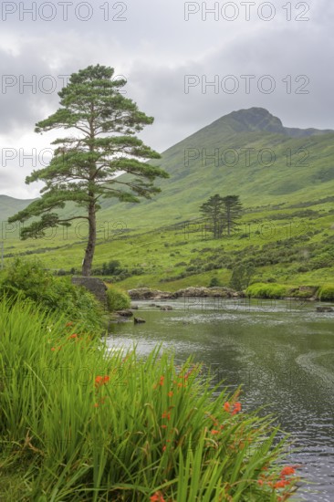 River Erreef, Erreef, County Mayo, Ireland