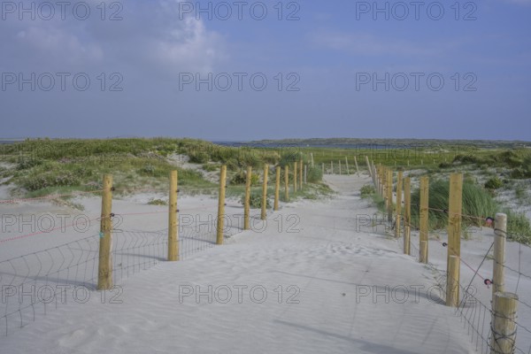 Trail through sand dunes at Dog's Bay, Roundstone, County Galway, Ireland