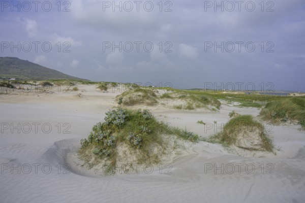 Sand dunes at Dog's Bay, Roundstone, County Galway, Ireland