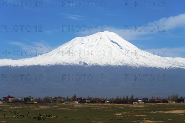 Schneeberg rises majestically behind a picturesque village with clear skies, Great Ararat, BÃ¼yÃ¼k AÄŸrÄ± DaÄŸÄ±, Dogubayazit, DogubayazÄ±t, Dogubeyazit, Agri Province, Eastern Anatolia, Anatolia, Turkey