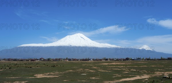Snow-covered mountain range above a small village surrounded by green fields under a blue sky, large and small Ararat, BÃ¼yÃ¼k AÄŸrÄ± DaÄŸÄ±, Dogubayazit, DoÄŸubayazÄ±t, Dogubeyazit, Agri Province, Eastern Anatolia, Anatolia, Turkey