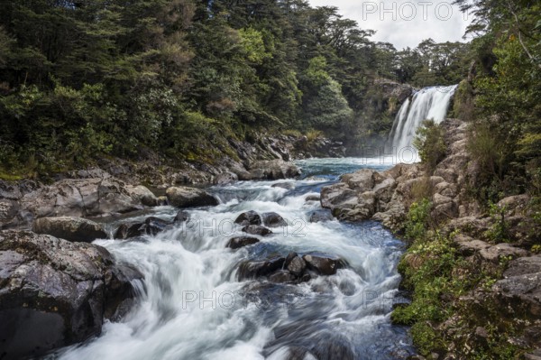 Waterfall Tawhai Falls (Gollum's Pool), location of the film trilogies The Lord of the Rings. Tongariro National Park, North Island, New Zealand