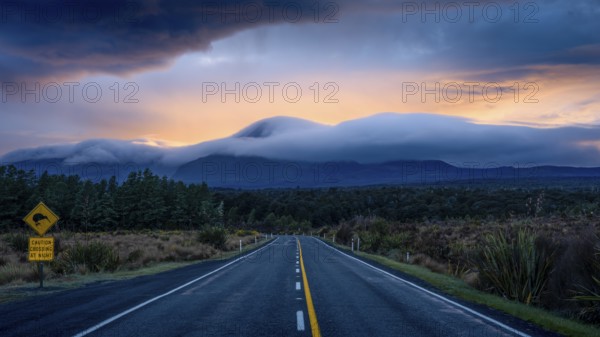 Mount Ngauruhoe in the morning at sunrise with glowing clouds, road SH 47. Tongariro National Park, North Island, New Zealand