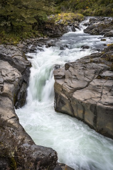 Whakapananui Stream and Mahuia Rapids, river and waterfall. Tongariro National Park, North Island, New Zealand