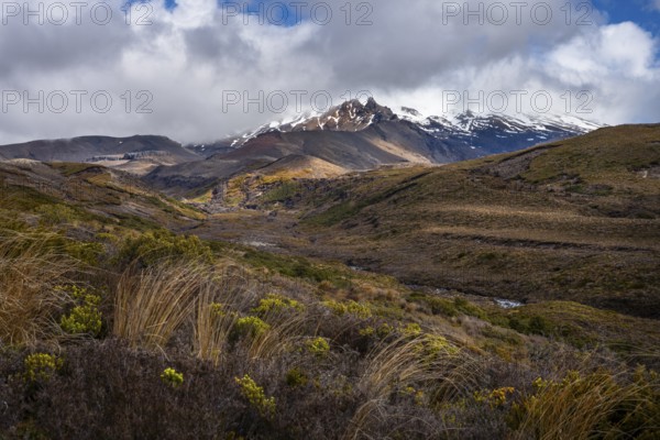 Volcanic landscape, Tama Lake Walk (Tama Lakes Track), Mt Ruapehu in the background. Tongariro National Park, North Island, New Zealand