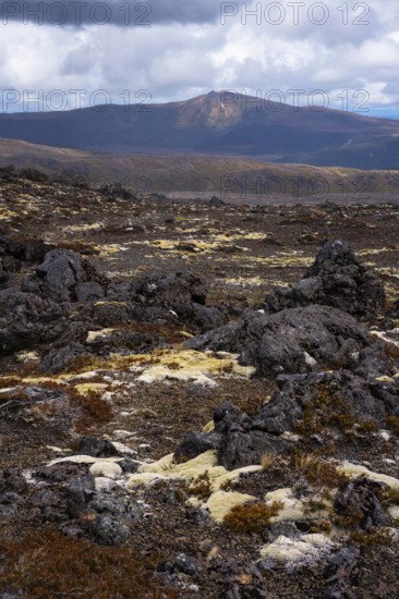 Volcanic landscape along Bruce Road. Different colored braids on rocks. In the back, Mount Hauhungatahi. Tongariro National Park, North Island, New Zealand