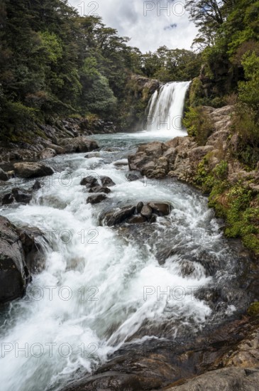 Waterfall Tawhai Falls (Gollum's Pool), location of the film trilogies The Lord of the Rings. Tongariro National Park, North Island, New Zealand