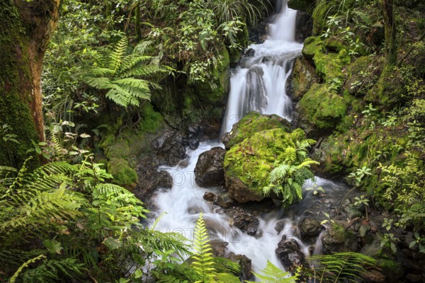 Ketetahi Falls waterfall in the forest, with rocks and ferns. Tongariro National Park, North Island, New Zealand
