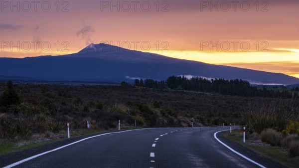 Roadshot, landscape and road SH 47 at sunset, Mount Hauhungatahi in the background. Tongariro National Park, North Island, New Zealand