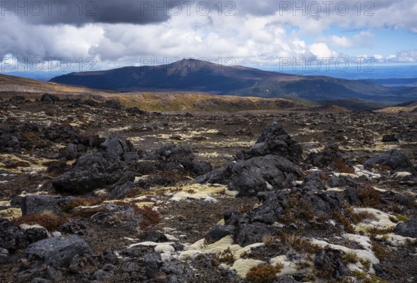 Volcanic landscape along Bruce Road. Different colored braids on rocks. In the back, Mount Hauhungatahi. Tongariro National Park, North Island, New Zealand