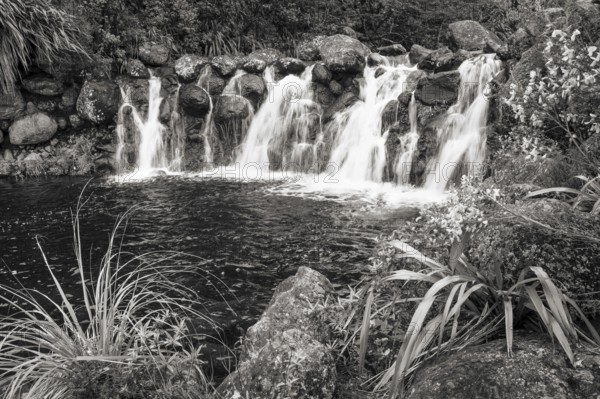 Waterfall at Whakapananui Stream. Broom on the edge. Tongariro National Park, North Island, New Zealand